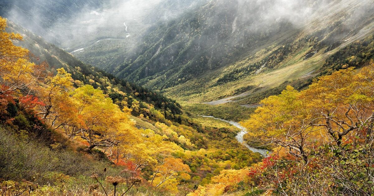 Photographie de versants de montagne boisés aux couleurs de l'automne