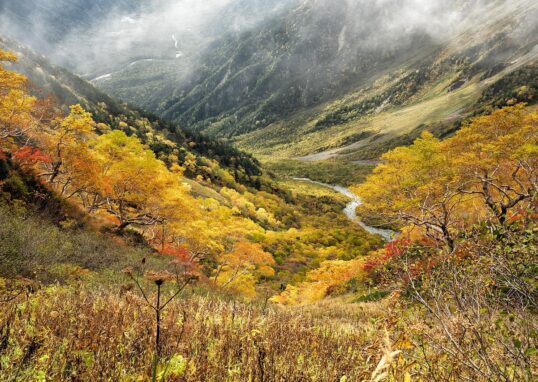 Photographie de versants de montagne boisés aux couleurs de l'automne