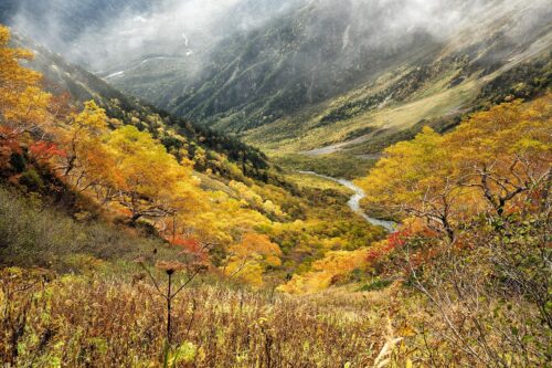 Photographie de versants de montagne boisés aux couleurs de l'automne