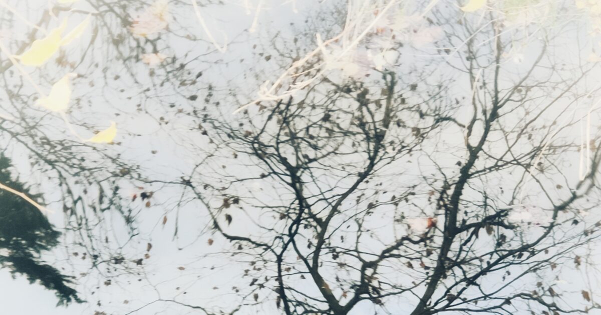 Photographie avec filtre du reflet d'un arbre dans le canal. Poétique. Brin de poésie