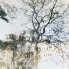 Photographie avec filtre du reflet d'un arbre dans le canal. Poétique. Brin de poésie