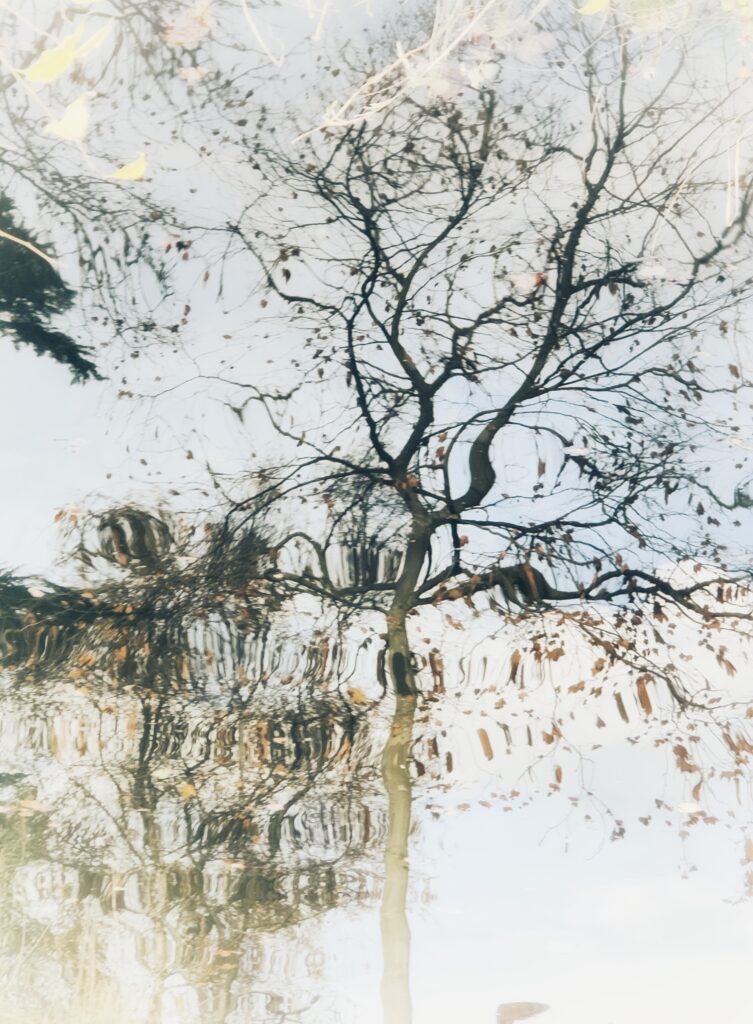 Photographie avec filtre du reflet d