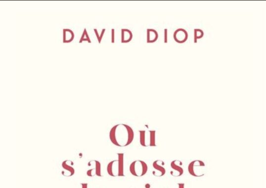 Couverture du livre Où s'adosse le ciel, de David Diop
