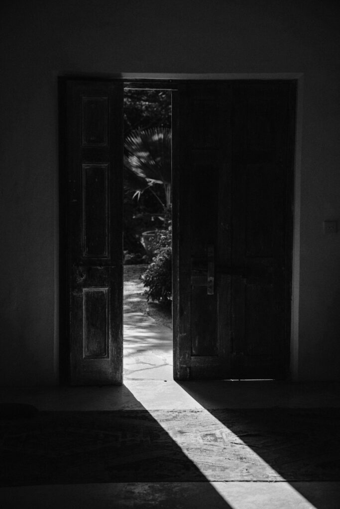 pexels media 11025279